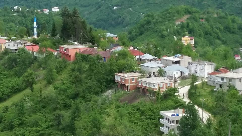 Fotoğraf